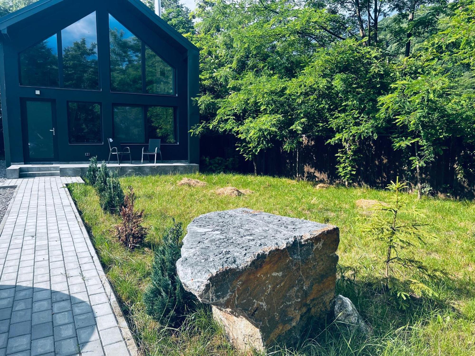 Oxigen Dream Villa Rîşnov Buitenkant foto